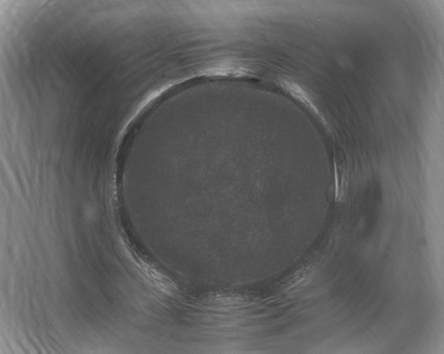 X0000067500531200604071229