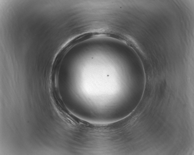 X0000067500532200604071229