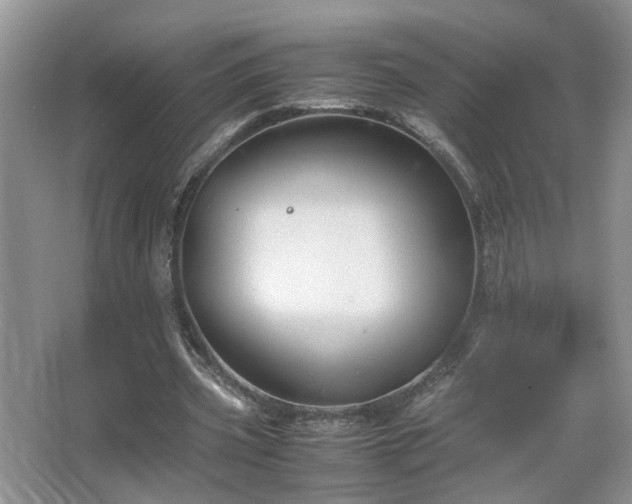 X0000067500533200604071229