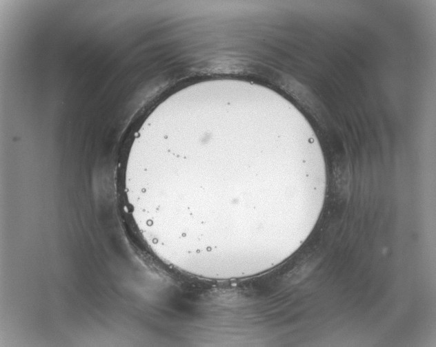 X0000067500534200604071229