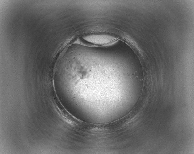 X0000067500537200604071229