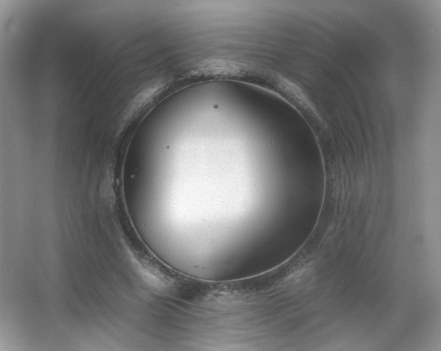 X0000067500538200604071229