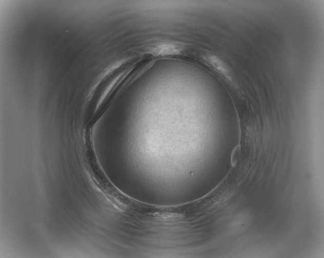 X0000067500539200604071229