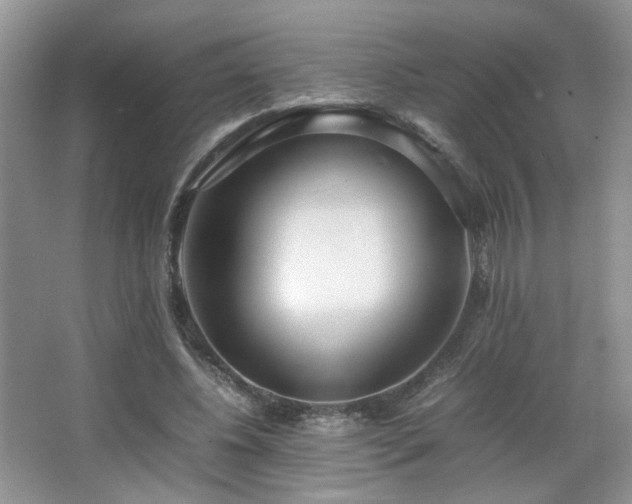 X0000067500540200604071229