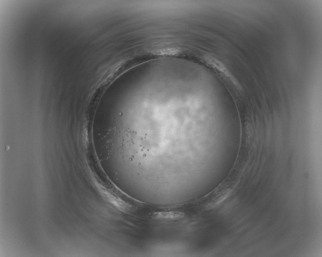 X0000067500541200604071229