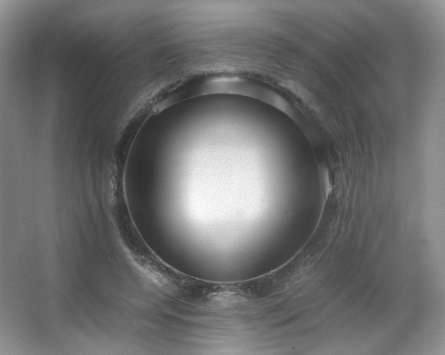 X0000067500544200604071229