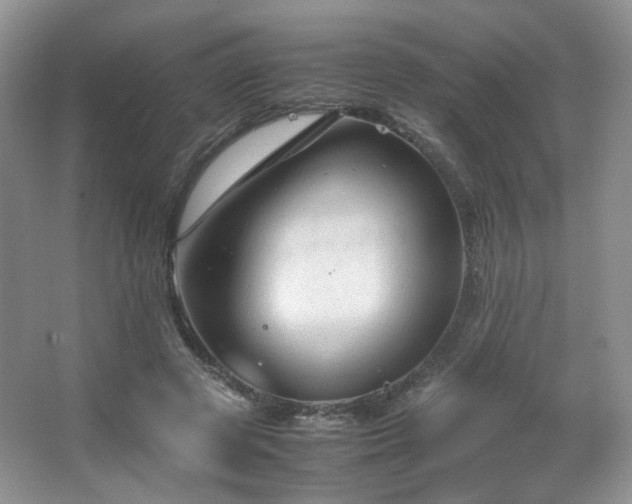 X0000067500545200604071229