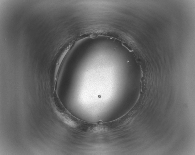 X0000067500546200604071229