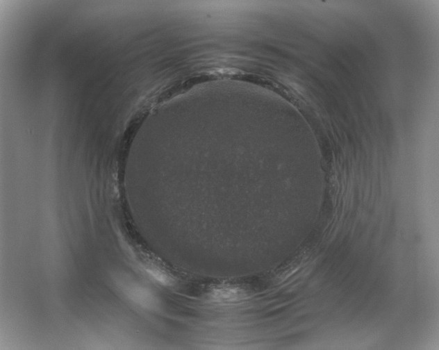 X0000067500547200604071229