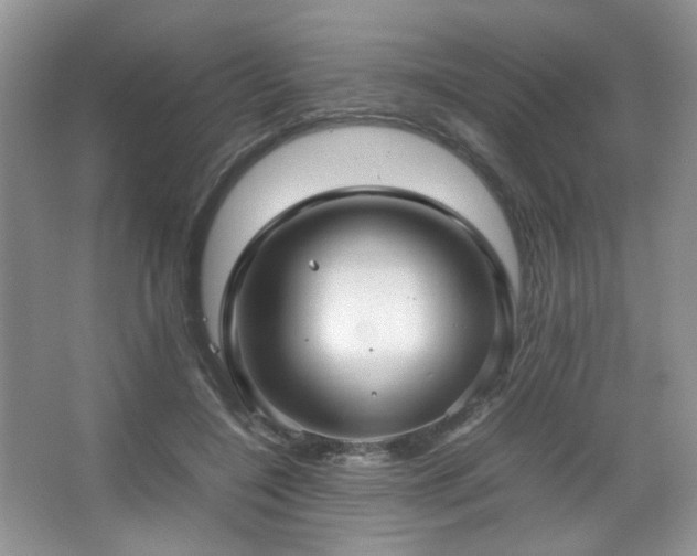 X0000067500548200604071229