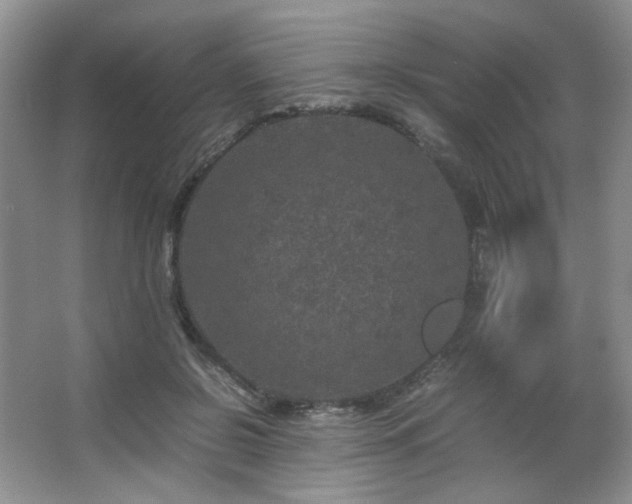 X0000067500550200604071229