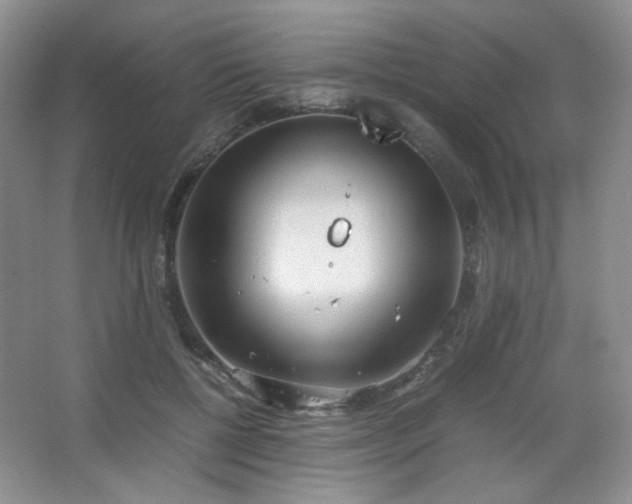 X0000067500552200604071229