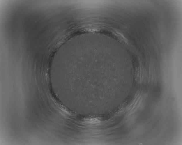 X0000067500553200604071229