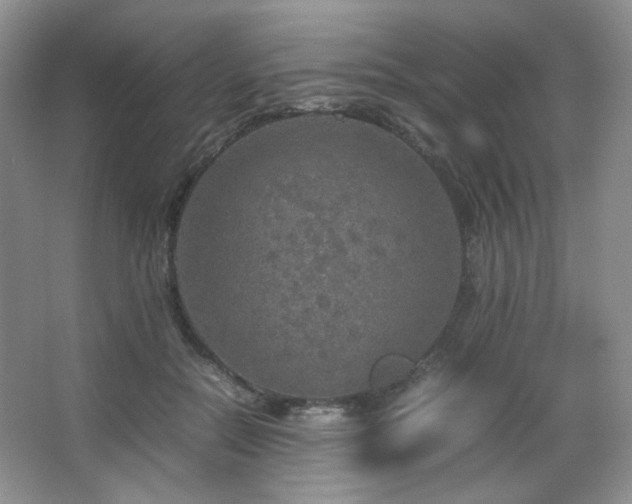 X0000067500554200604071229