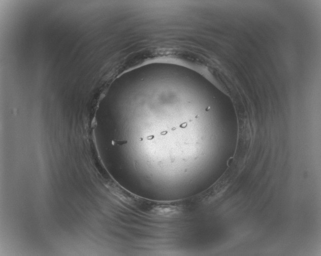 X0000067500557200604071229