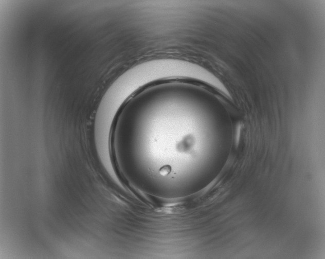 X0000067500558200604071229