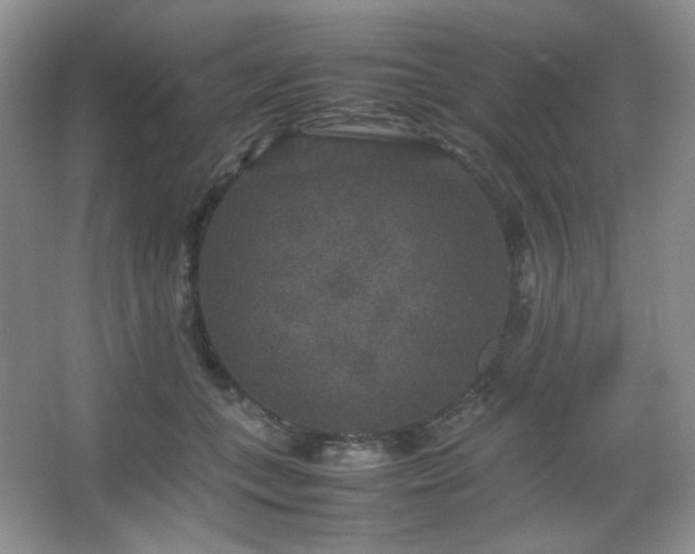 X0000067500559200604071229