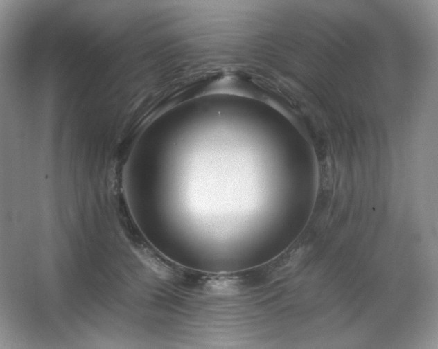 X0000067500560200604071229