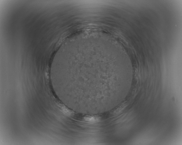 X0000067500561200604071229