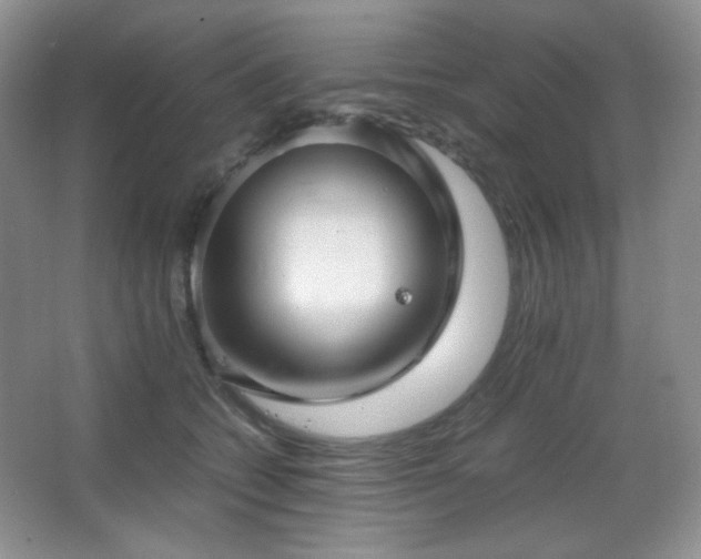 X0000067500562200604071229