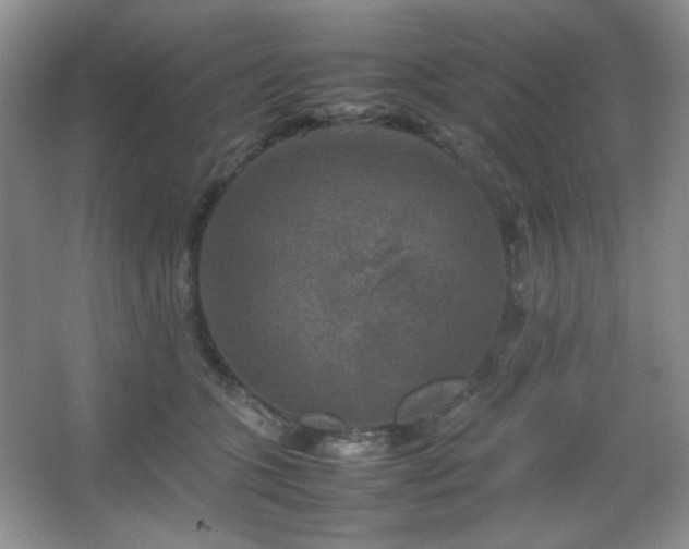 X0000067500563200604071229