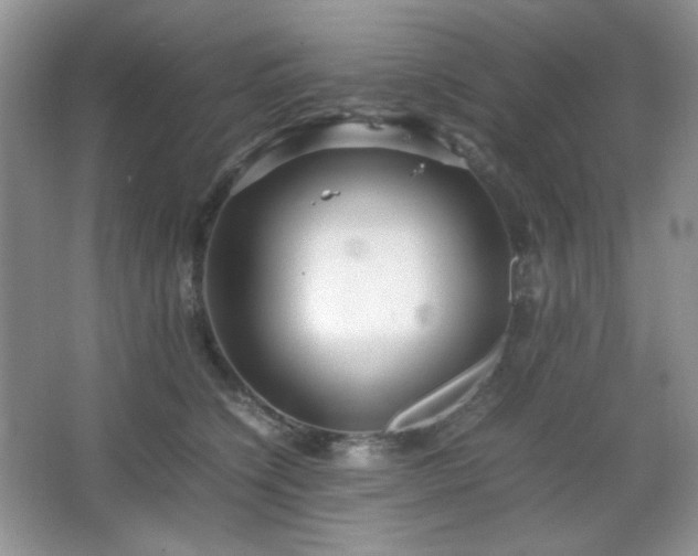 X0000067500564200604071229