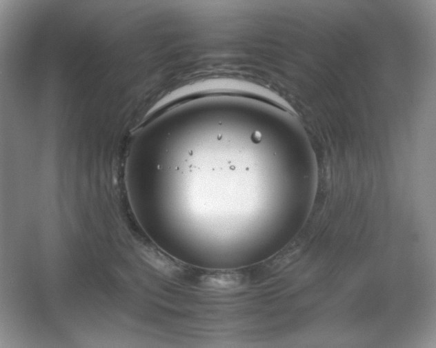 X0000067500567200604071229