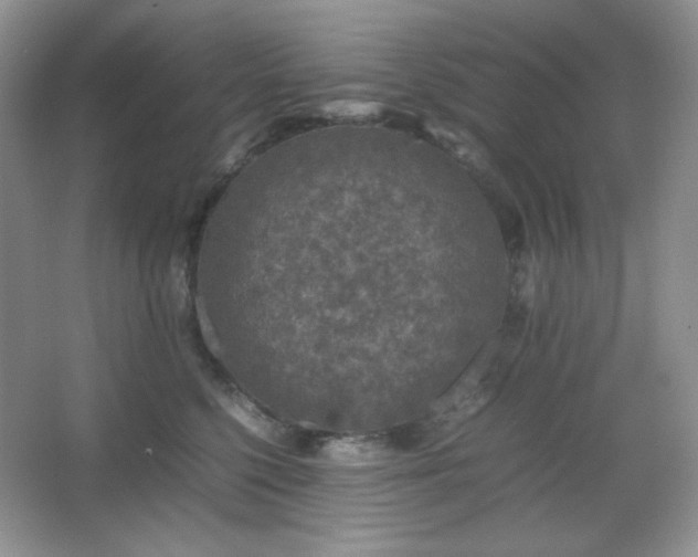 X0000067500568200604071229