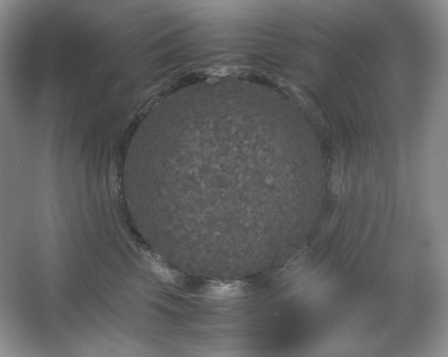 X0000067500569200604071229