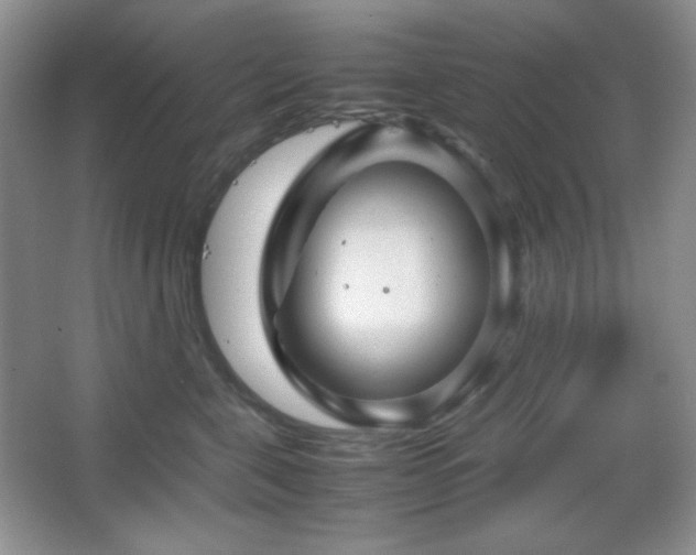 X0000067500571200604071229