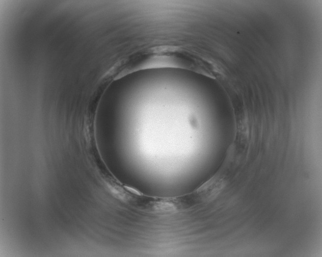 X0000067500572200604071229