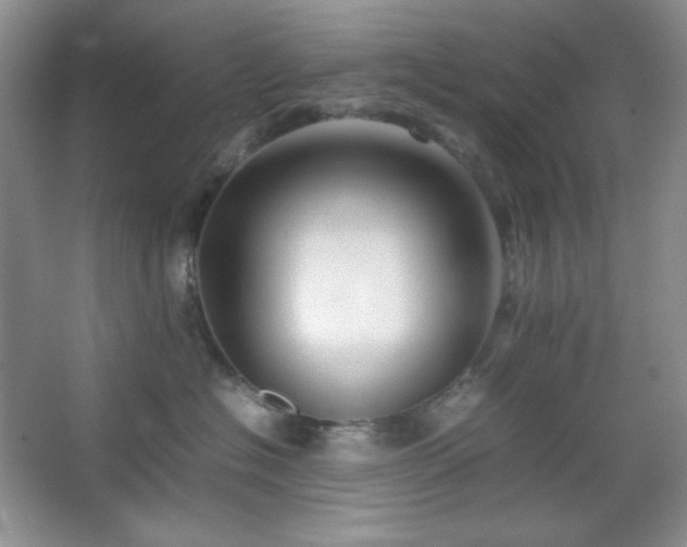 X0000067500574200604071229