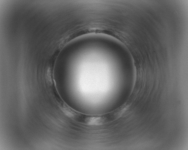 X0000067500575200604071229