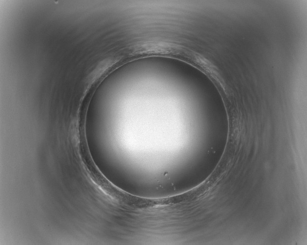 X0000067500578200604071228