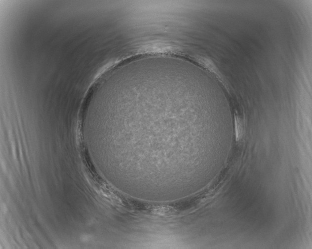 X0000067500579200604071228