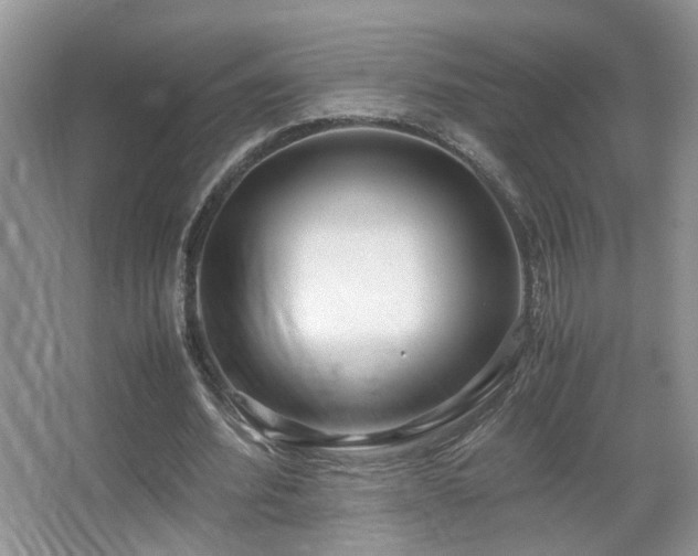 X0000067500580200604071228