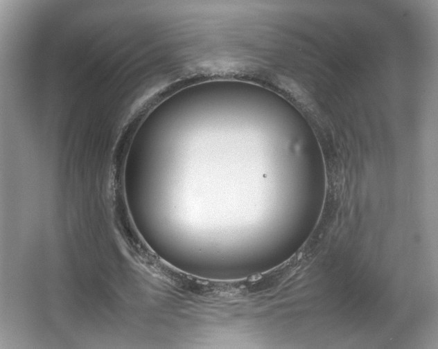 X0000067500583200604071228