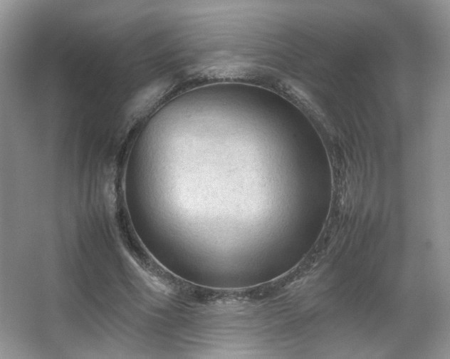 X0000067500586200604071228