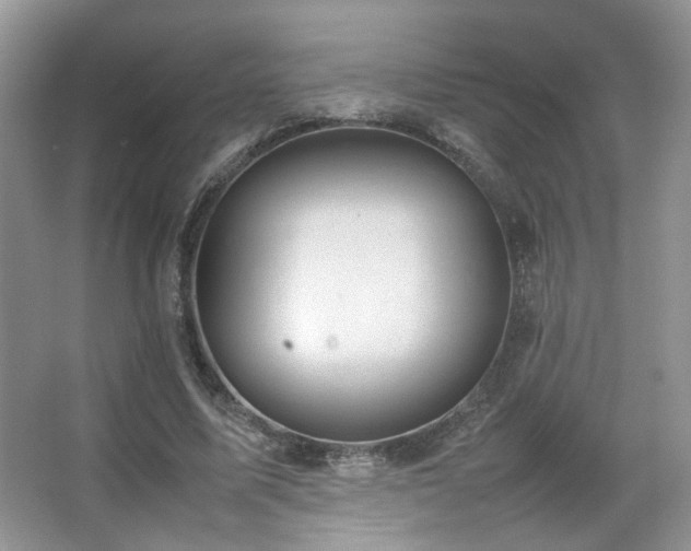 X0000067500587200604071228