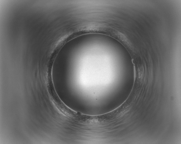 X0000067500588200604071228