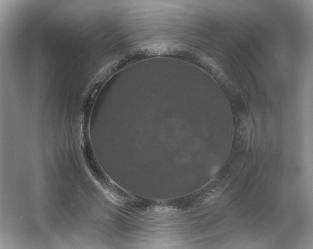 X0000067500590200604071228