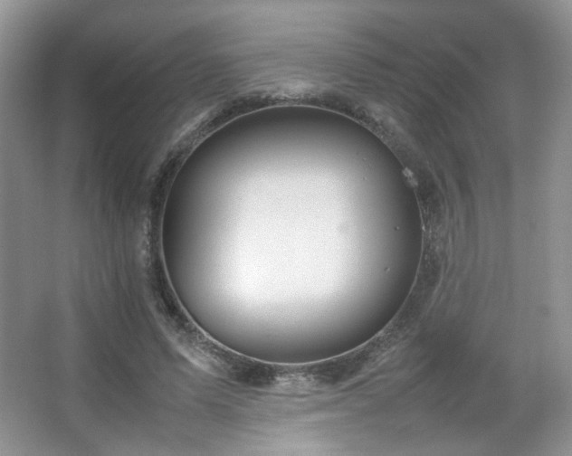 X0000067500591200604071228