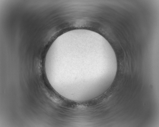 X0000067500592200604071228