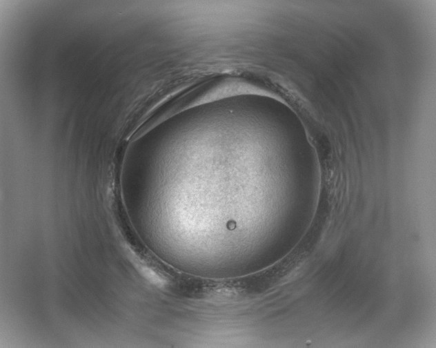 X0000067500593200604071228