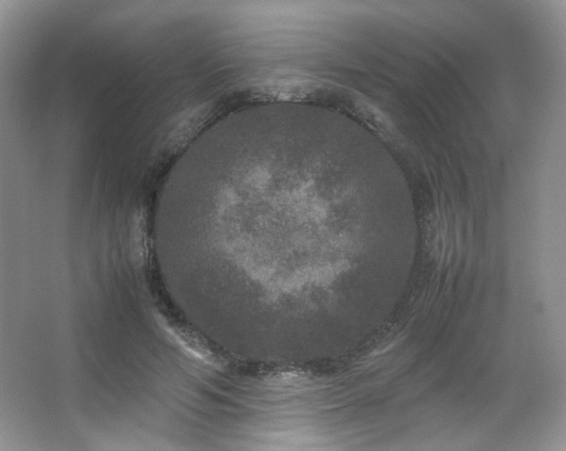 X0000067500594200604071228