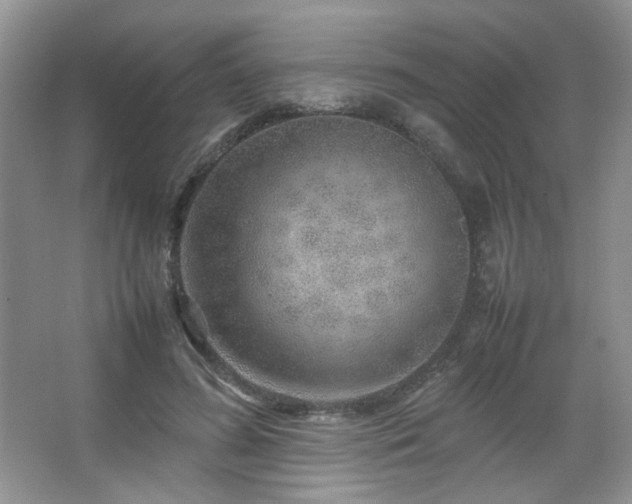 X0000067500596200604071228