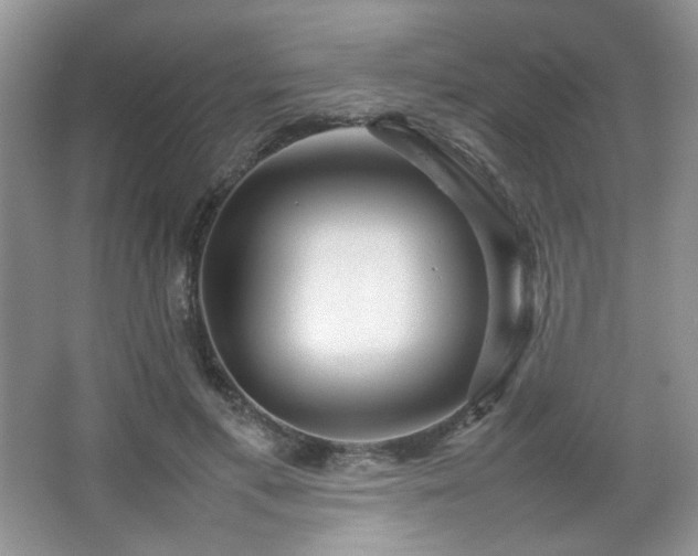 X0000067500597200604071228