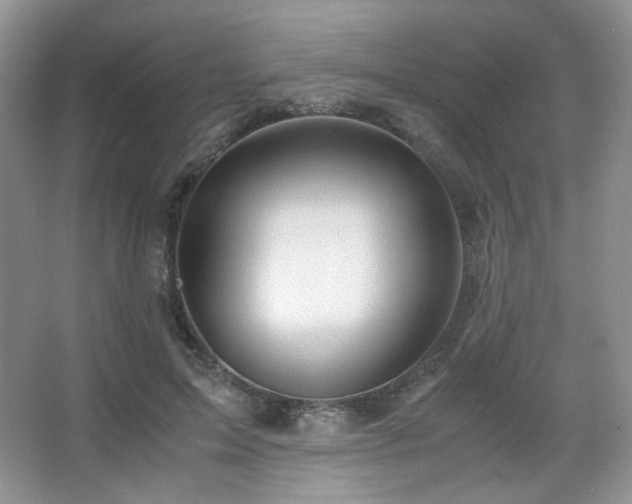 X0000067500599200604071228