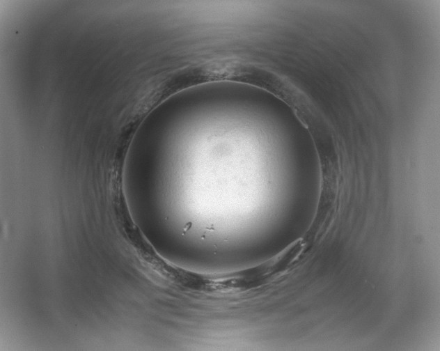 X0000067500601200604071228