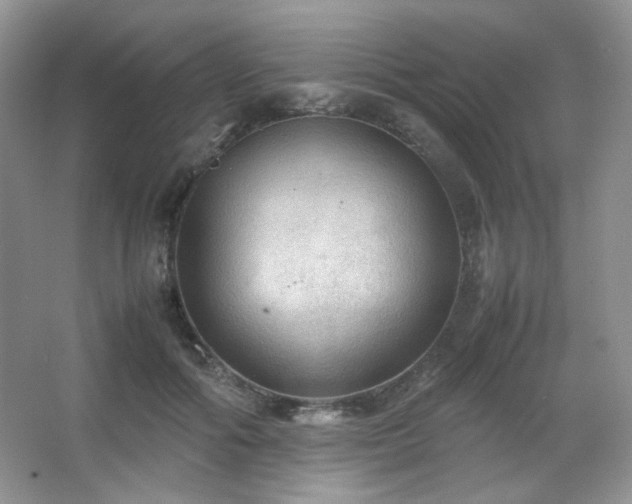 X0000067500602200604071228